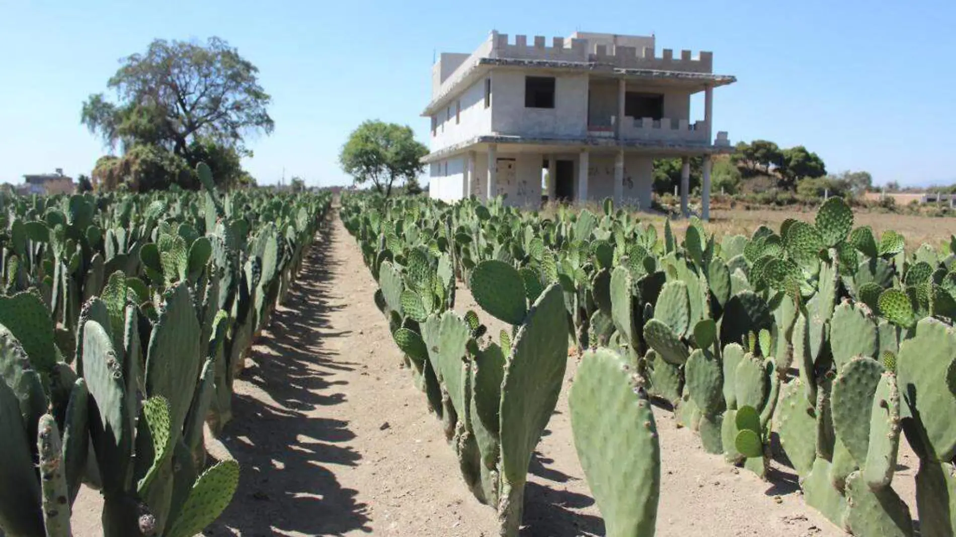 CASAS VACIAS EN PUEBLA. BIBIANA DÍAZ EL SOL DE PUEBLA (5)